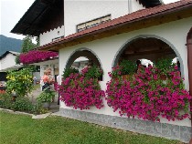 Entente florale P8014498