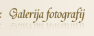 Galerija fotografij